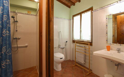 Villa le Balze: Plumbing Fixture, Flooring, Wood, Bathroom Sink, Floor, Sink, Interior Design, Bathroom, Ceiling, Tap