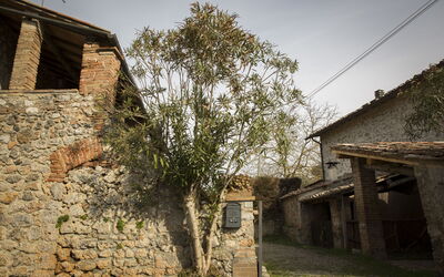 La Loggia e Il Cortile Appartamenti
