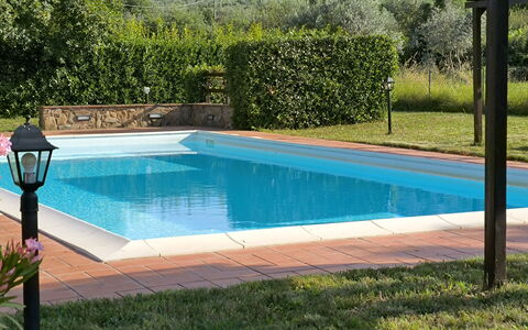 La Gropina Di Loro Ciuffenna: Water, Plant, Property, Swimming Pool, Azure, Botany, Rectangle, Shade, Grass, Leisure