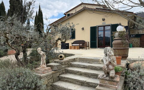 Villa Eleonora: Flowerpot, Flagstone, Garden, Shade, Landscaping, Houseplant, Hacienda, Driveway, Yard