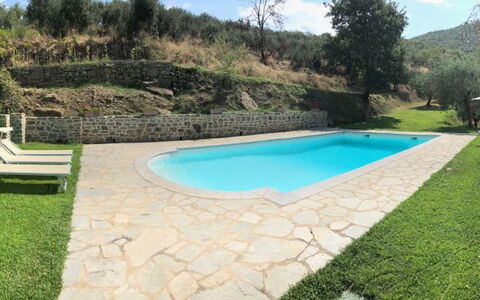 Villa Oleandro: Swimming Pool, Property, Grass, Backyard, Villa, Land Lot, Landscape, Rectangle, Leisure, Estate