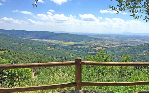 Villa Del Sole: Sky, Nature, Mountainous Landforms, Mountain, Cloud, Wilderness, Natural Environment, Tree, Leaf, Grass