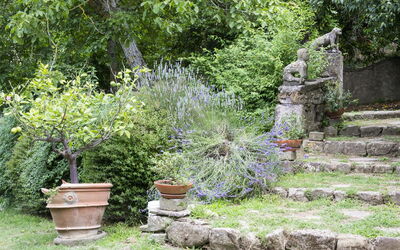 Villa Della Valle
