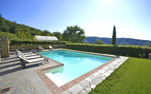 Villa Ginestra: Swimming Pool, Property, House, Building, Real Estate, Grass, Villa, Estate, Home, Backyard