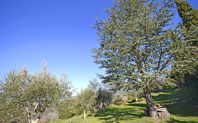 Appartamento Margherita