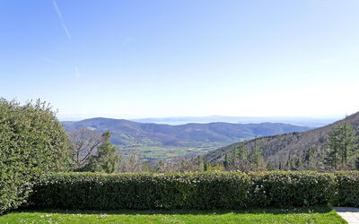 Panoramic view