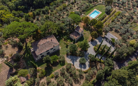 Villa San Pietro: Plant Community, Plant, Land Lot, Building, Tree, Urban Design, Natural Landscape, Neighbourhood, Residential Area, Rural Area