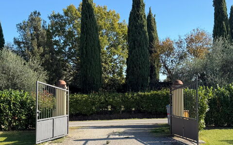 Villa Mira: Shrub, Garden, Shade, Landscaping, Evergreen, Hedge, Park, Fence