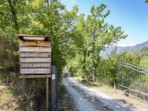 Farmhouse Il Fantino With Pool 12pax