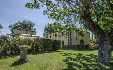 Villa Del Monte: Property, Tree, House, Real Estate, Home, Grass, Building, Estate, Woody Plant, Architecture