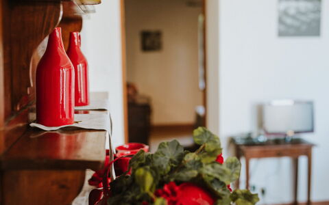 Agriturismo la Papessa: Orange, Plant, Kitchen Appliance, Kitchen, Gas, Wood, Flower, Petal