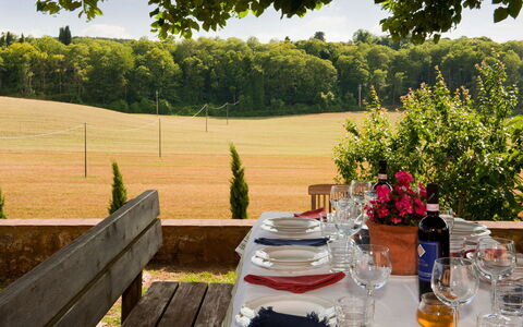 Villa Le Caggia: Property, Tree, Grass, Table, Landscape, Lawn, Real Estate, Backyard, Garden, House