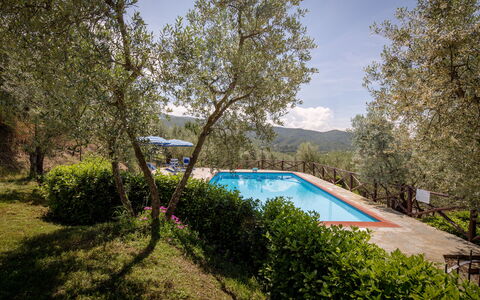 Villa Le Capanne: Property, Swimming Pool, Real Estate, House, Tree, Architecture, Estate, Residential Area, Home, Building