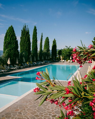 Fattoria Fronzano: Water, Flower, Sky, Cloud, Plant, Property, Swimming Pool, Tree, Natural Landscape, Arecales