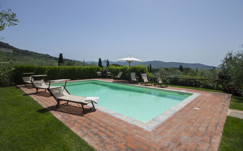 Villa Il Sasso: Swimming Pool, Property, Grass, Backyard, Estate, Real Estate, House, Leisure, Sunlounger, Yard