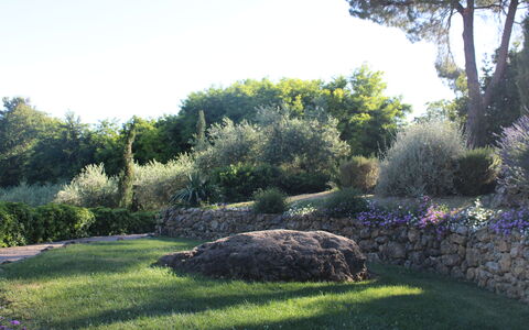 Gli Appartamenti Di Manuela: Grass, Leaf, Vegetation, Shrub, Garden, Rock, Plant Community, Landscape, Groundcover