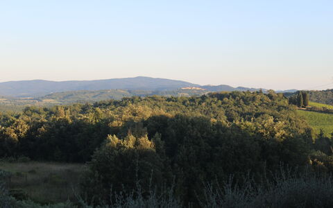 Gli Appartamenti Di Manuela: Sky, Mountainous Landforms, Leaf, Natural Environment, Nature, Hill, Vegetation, Mountain, Natural Landscape, Grassland