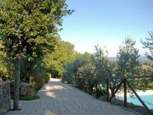 the path that leads to the pool and the old walnut