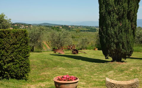 Pozzo Dei Desideri: Plant, Sky, Flower, Plant Community, Flowerpot, Green, Nature, Botany, Natural Landscape, Tree