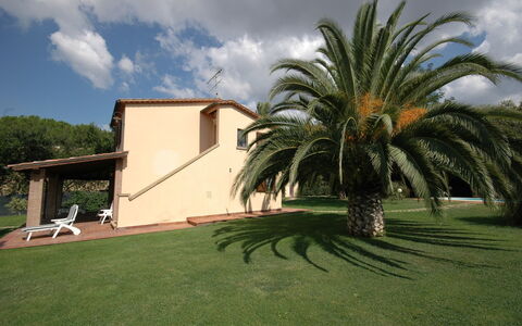 Poderino: Property, Palm Tree, House, Grass, Arecales, Tree, Home, Real Estate, Attalea Speciosa, Building