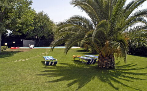 Poderino: Grass, Tree, Lawn, Palm Tree, Vehicle, Arecales, Car, Woody Plant, Plant, Elaeis