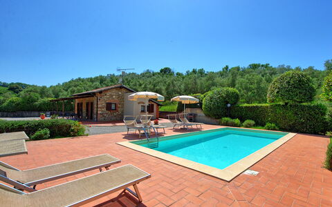 Cuccardino: Sky, Property, Plant, Swimming Pool, Water, Tree, Outdoor Furniture, Wood, Rectangle, Grass