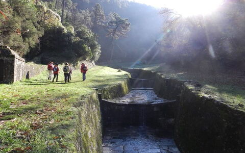 La Piccola Margherita: Natural Landscape, Mountain, Wilderness, Atmospheric Phenomenon, Sky, Morning, Hill Station, Tree, Tourism, Landscape