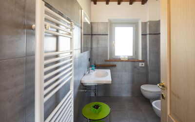 Accommodation:&nbsp;Libellula