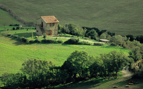 Agriturismo le Calle: Plant, Green, Window, Nature, Natural Landscape, Building, Tree, Vegetation, House, Land Lot