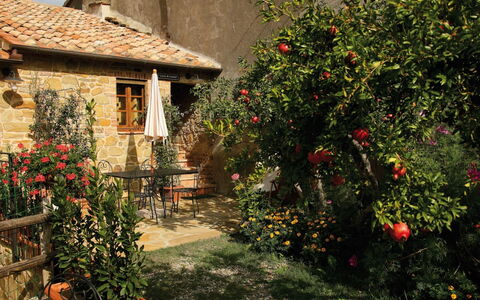 Agriturismo le Calle: Flower, Plant, Building, Window, Leaf, Vegetation, House, Biome, Cottage, Landscape