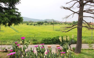 Podere i Gigli
