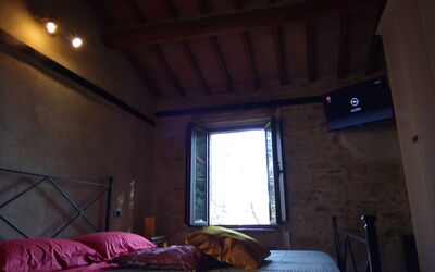 Accommodation:&nbsp;Iris