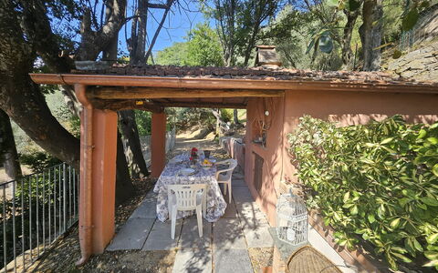 Collina Lagomare: Wood, Shade, Cottage, Garden, Backyard, Hacienda, Yard, Landscaping, Wood Stain, Outdoor Structure