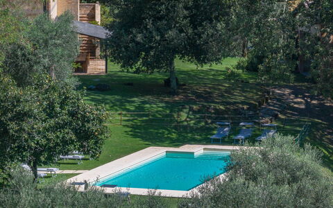 Castello D'Ombrone: Water, Plant, Building, Swimming Pool, Tree, Window, Natural Landscape, Shade, Grass, Shrub