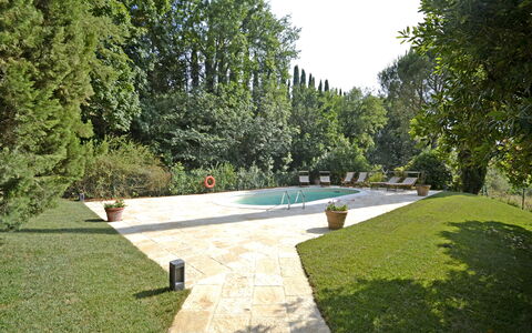 Villa Del Castagno: Property, Swimming Pool, Grass, Garden, House, Estate, Tree, Lawn, Yard, Real Estate