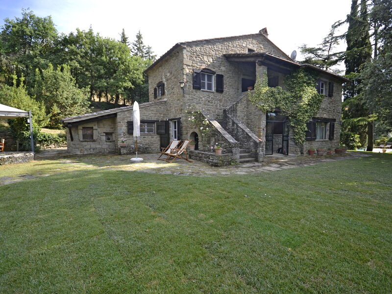 Garden and outdoor view