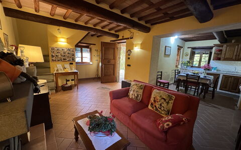 Batticapo di Ilaria: Property, Couch, Table, Furniture, Interior Design, Lighting, Living Room, Picture Frame, Studio Couch, Wood