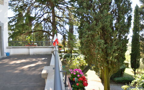 Villa Il Borghetto: Tree, Plant, Flower, Spring, Architecture, Walkway, Park, Shrub
