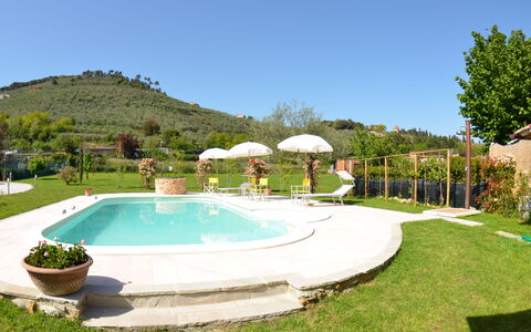 Al Vecchio Pozzo: Swimming Pool, Property, Real Estate, Estate, House, Grass, Building, Residential Area, Home, Villa
