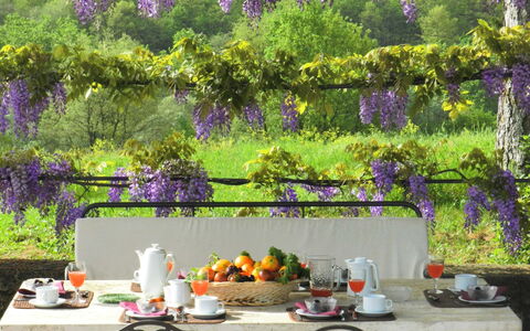 Villa Fabbri: Purple, Lavender, Garden, Lilac, Spring, Tree, Plant, Flower, Table, Patio