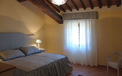 Accommodation:&nbsp;Dante Alighieri