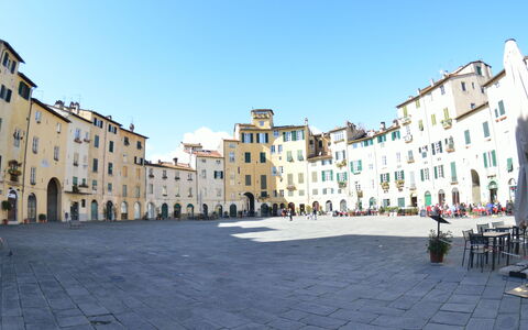 Aria Di Lucca