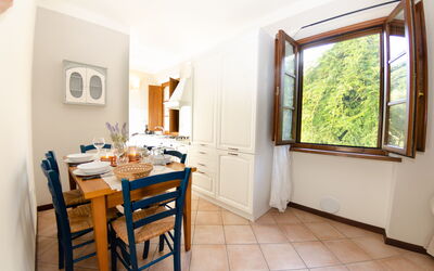 Accommodation:&nbsp;Morgana