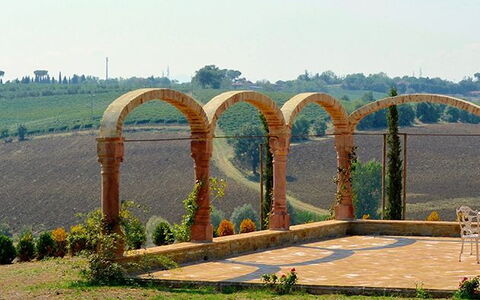 Luna Di Cortona: Arch, Architecture, Tree, Grass, Bridge, Land Lot, Landscape, Arch Bridge, Plant, Road