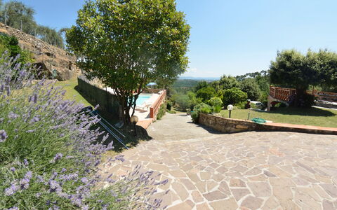 Agli Olivi: Property, Garden, Tree, Botany, Real Estate, Landscape, Walkway, Landscaping, Plant, House