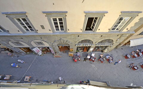 Marlene House: Architecture, Building, City, Urban Design, Facade, Street