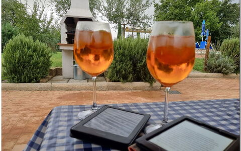 Villetta Di Cortona: Tableware, Plant, Drinkware, Table, Stemware, Barware, Tree, Orange, Chair