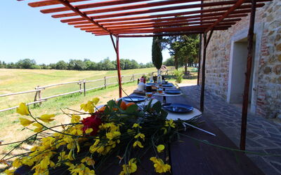 Podere Palazzone