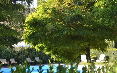 Montecucco Winery