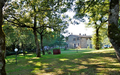 B&b Poggio Del Drago